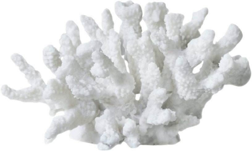 Corail branche en polyrésine blanche 16 cm Coral - Mette Ditmer - The Cool Republic