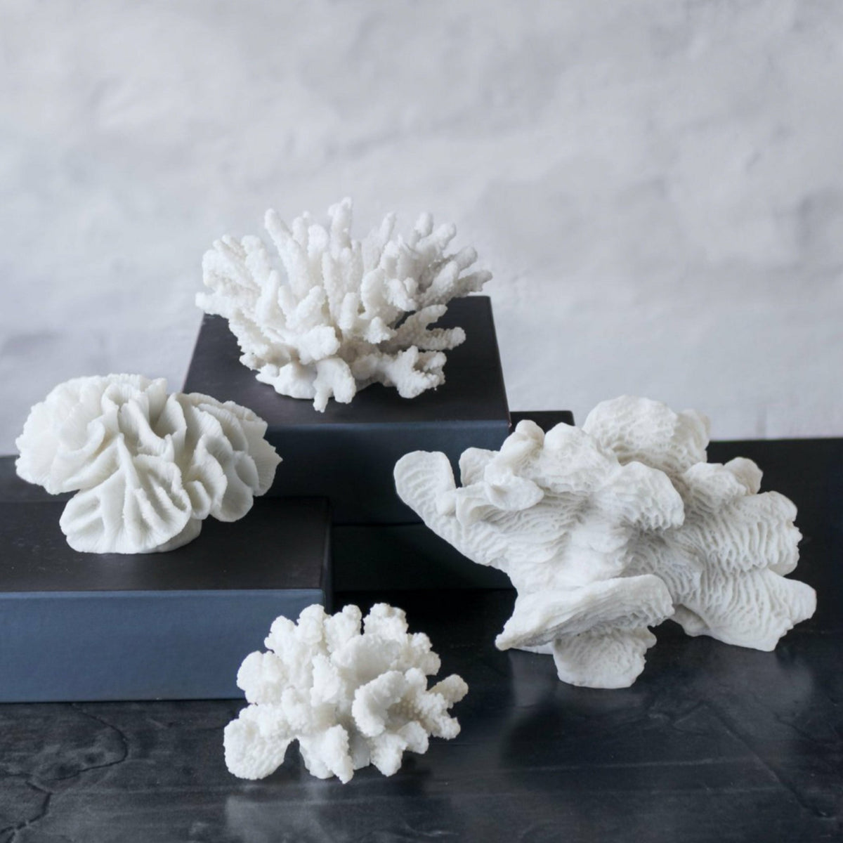 Corail éventail en polyrésine blanche 13 cm Coral - Mette Ditmer - The Cool Republic