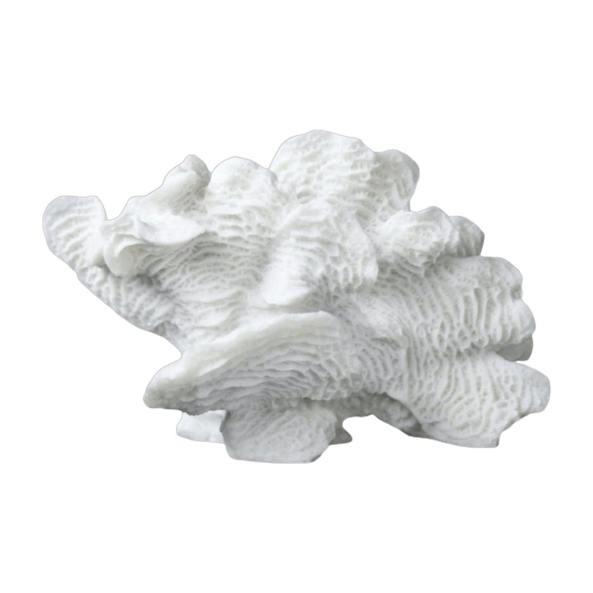 Corail éventail en polyrésine blanche 13 cm Coral - Mette Ditmer - The Cool Republic