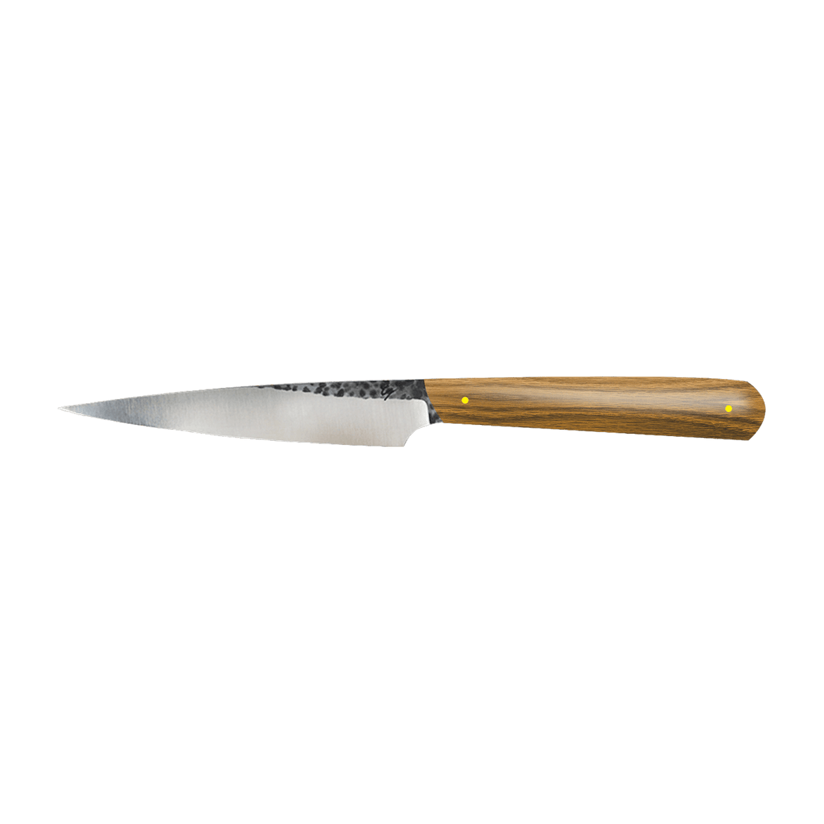 Couteau d'office en chêne et inox Z40 23 cm Needle - Atelier Miguel - The Cool Republic