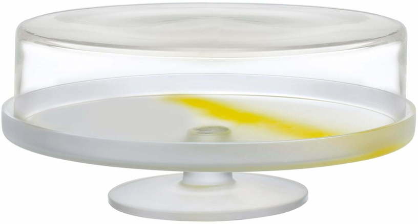 Dôme à gâteaux transparent base jaune Pigmento - Nude Glass - The Cool Republic
