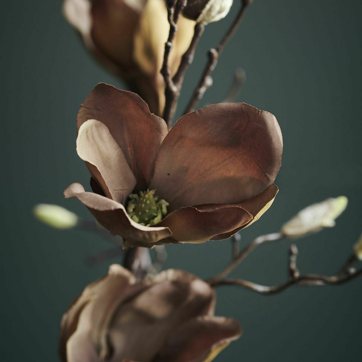 Fleur artificielle Mangnolia Marron - House Doctor - The Cool Republic