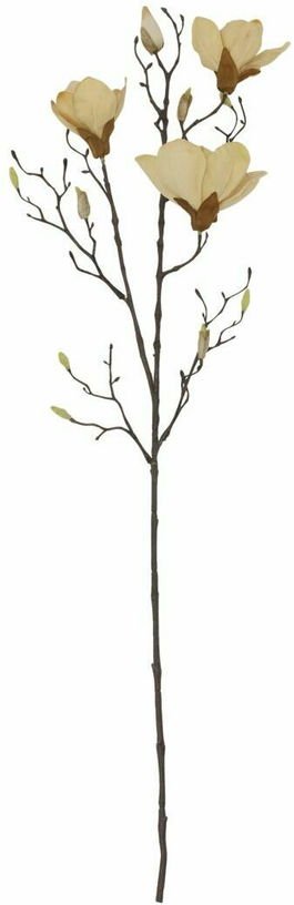 Fleur Mangnolia Blanc cassé - House Doctor - The Cool Republic