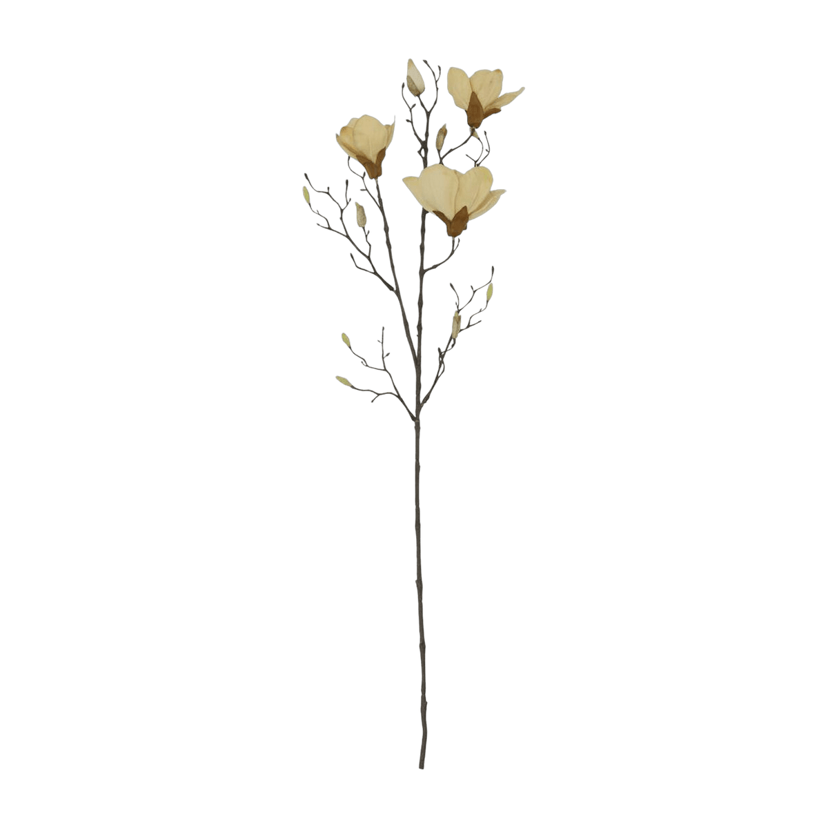Flower Mangnolia Off-White - House Doctor - The Cool Republic