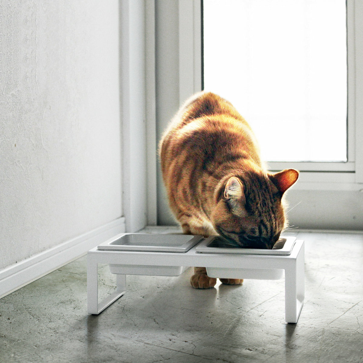Gamelle pour animal de compagnie blanche - Yamazaki - The Cool Republic