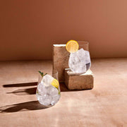 Ghost Zero Tulip Set of 2 Glasses - Nude Glass - The Cool Republic