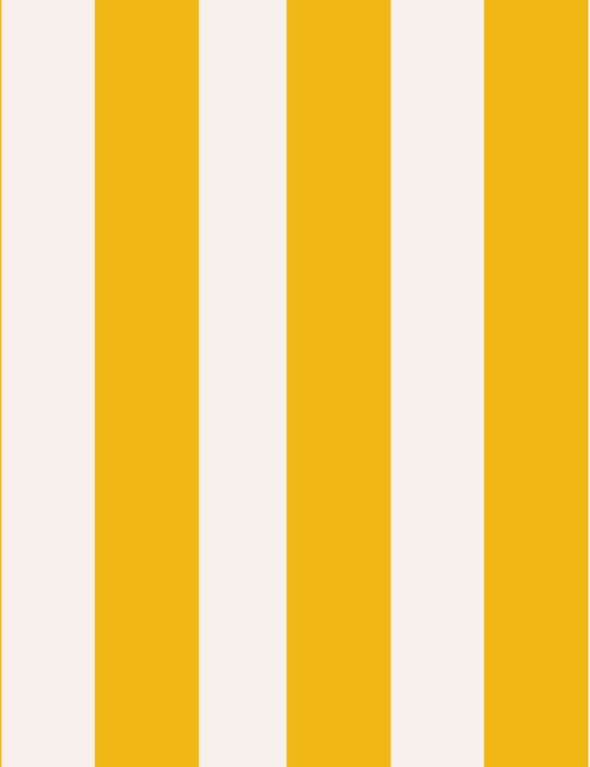 Lé de papier peint jaune foncé et blanc crème Auguste 20 - Mues Design - The Cool Republic