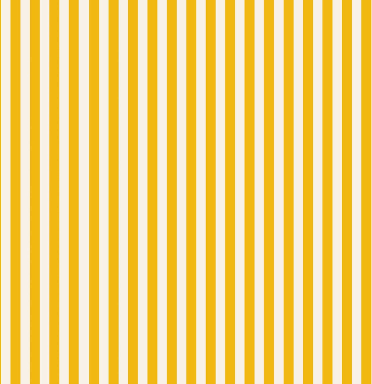 Lé de papier peint jaune foncé et blanc crème Ernest 20 - Mues Design - The Cool Republic