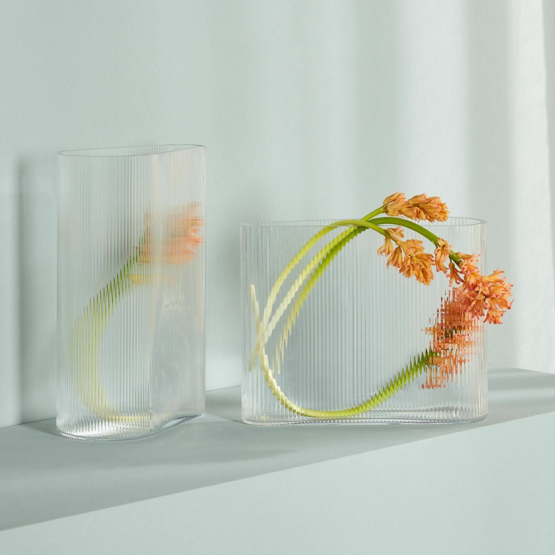 Mist Vase Clear Wide - Nude Glass