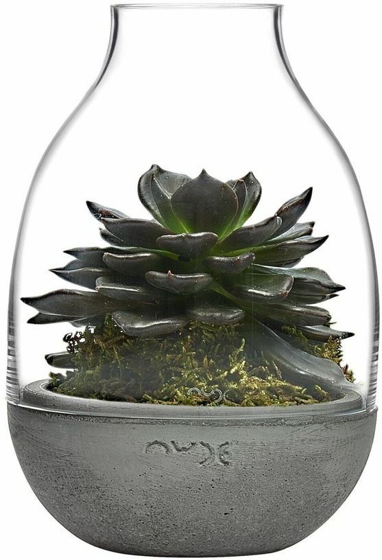 Mini terrarium transparent avec base en béton moulé - Nude Glass - The Cool Republic