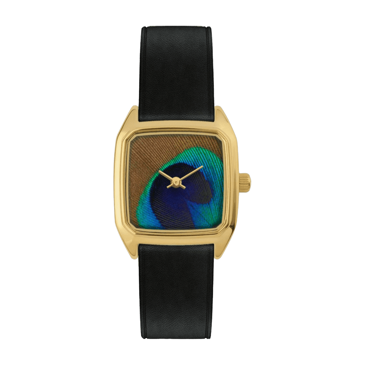 Montre noire paon et cadre doré Prima - Laps - The Cool Republic