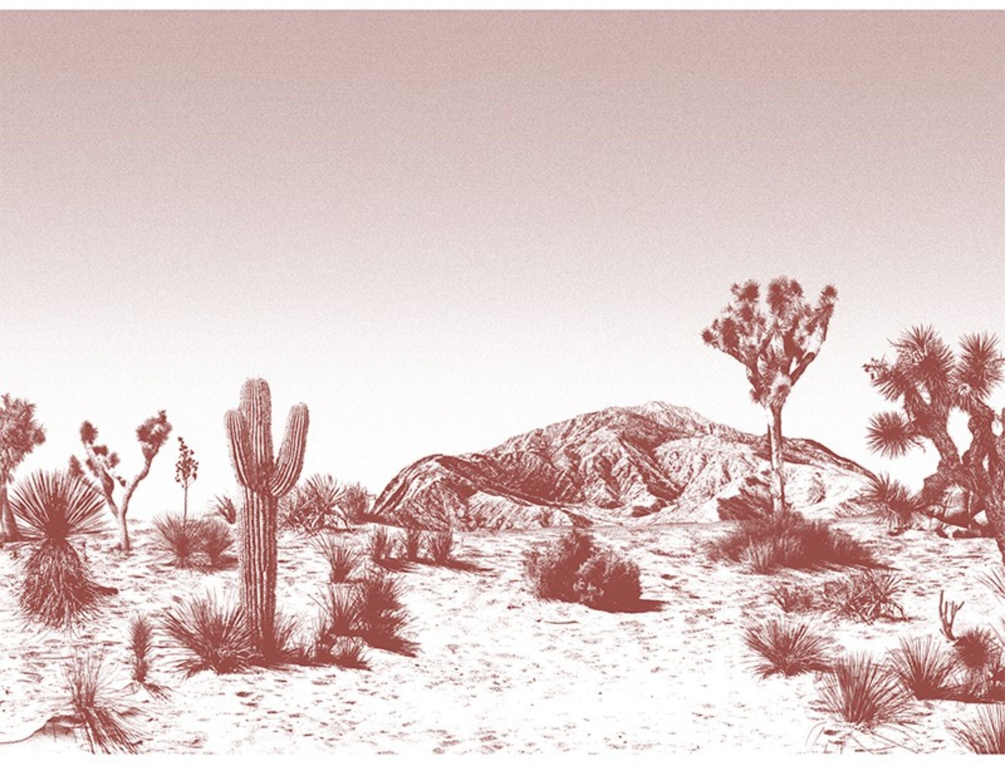 Papier peint intissé panoramique rouille terracotta 432 x 320 cm Arizona - Edito