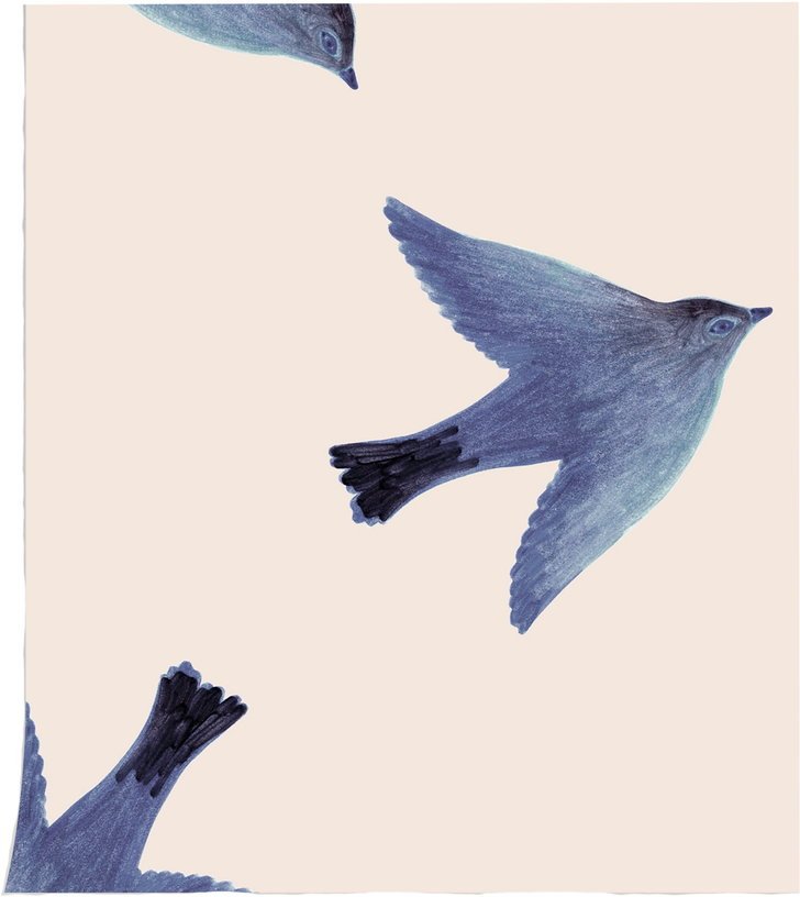 Papier peint L'oiseau - Season Paper - The Cool Republic
