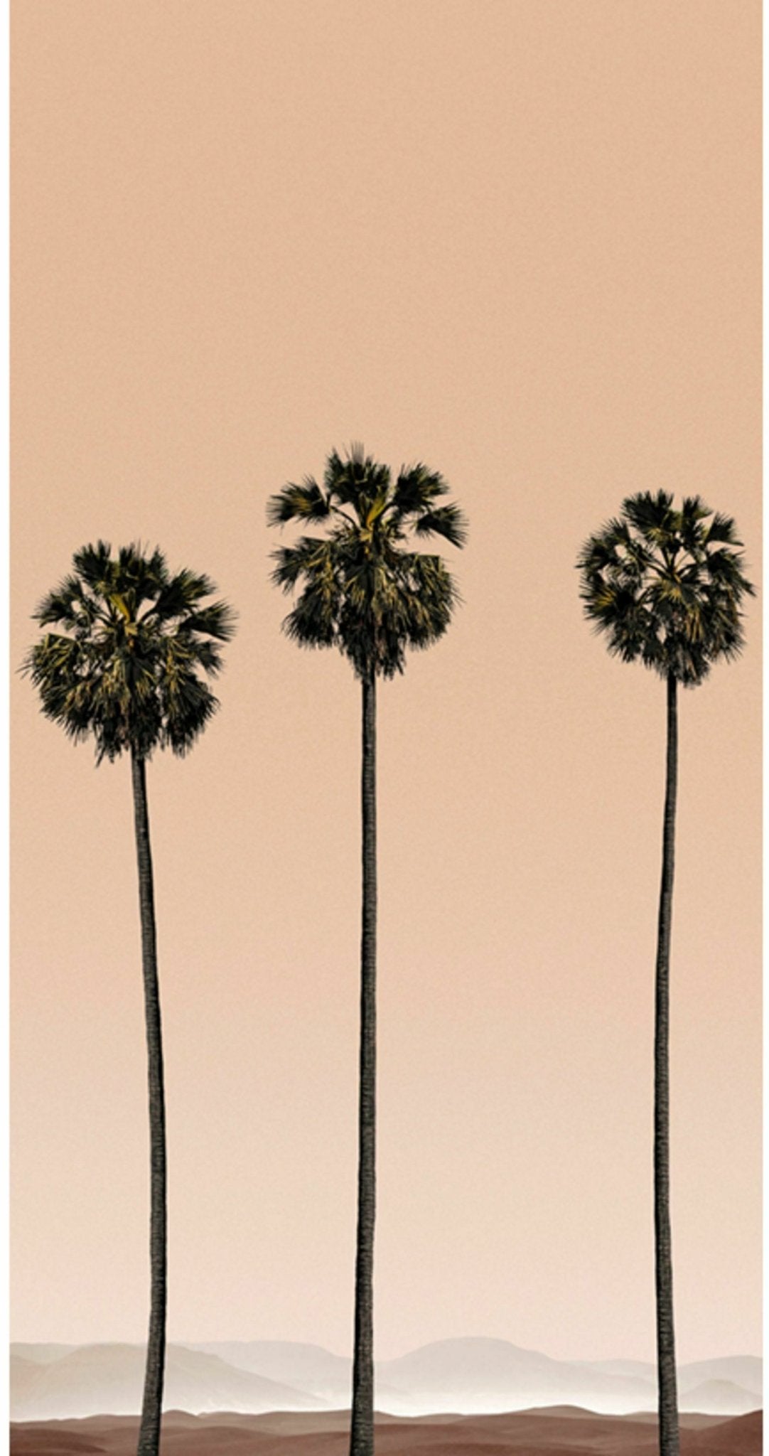Papier peint M Palmiers - Edito - The Cool Republic