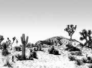 Papier peint noir et blanc Arizona - Edito - The Cool Republic