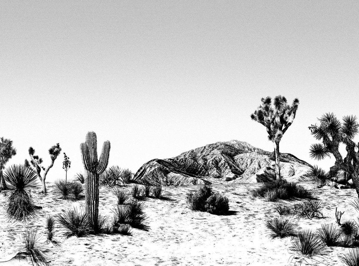 Papier peint noir et blanc Arizona - Edito - The Cool Republic