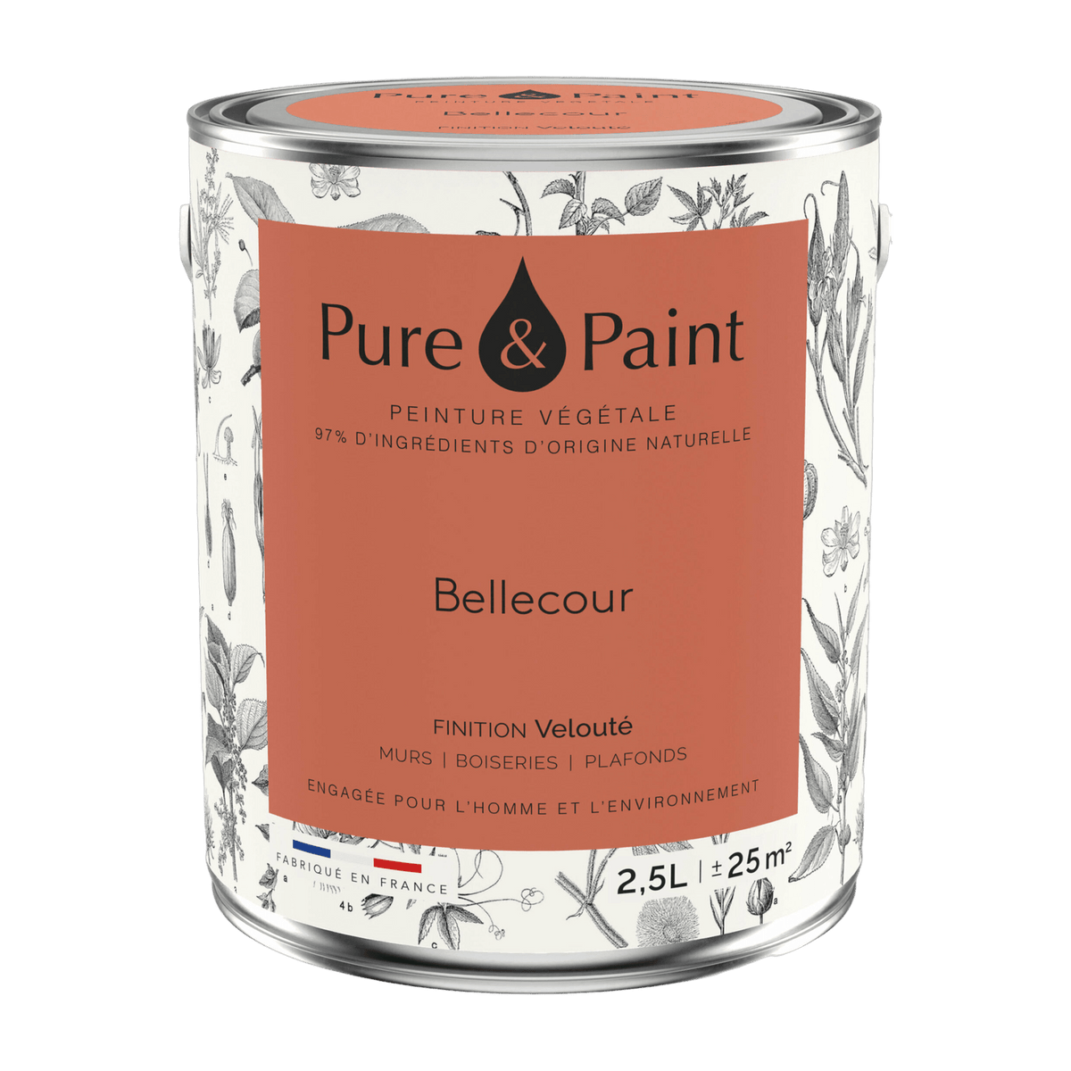Bellecour velvet vegetable paint 2, 5L - Pure & Paint - The Cool Republic