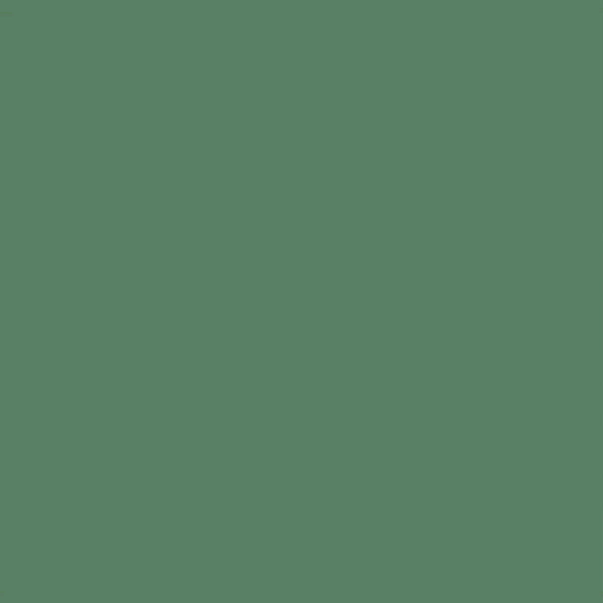 Vegetable paint velvety Forest 2, 5L - Pure & Paint - The Cool Republic