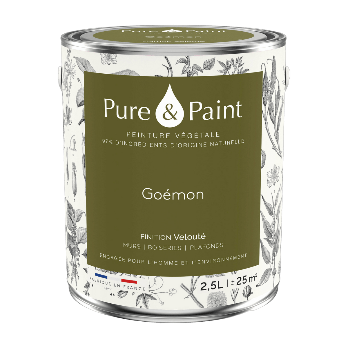 Vegetable paint velvety Goémon 2, 5L - Pure & Paint - The Cool Republic