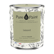 Lizard Velvet Plant Paint 2. 5L Pure & Paint - The Cool Republic