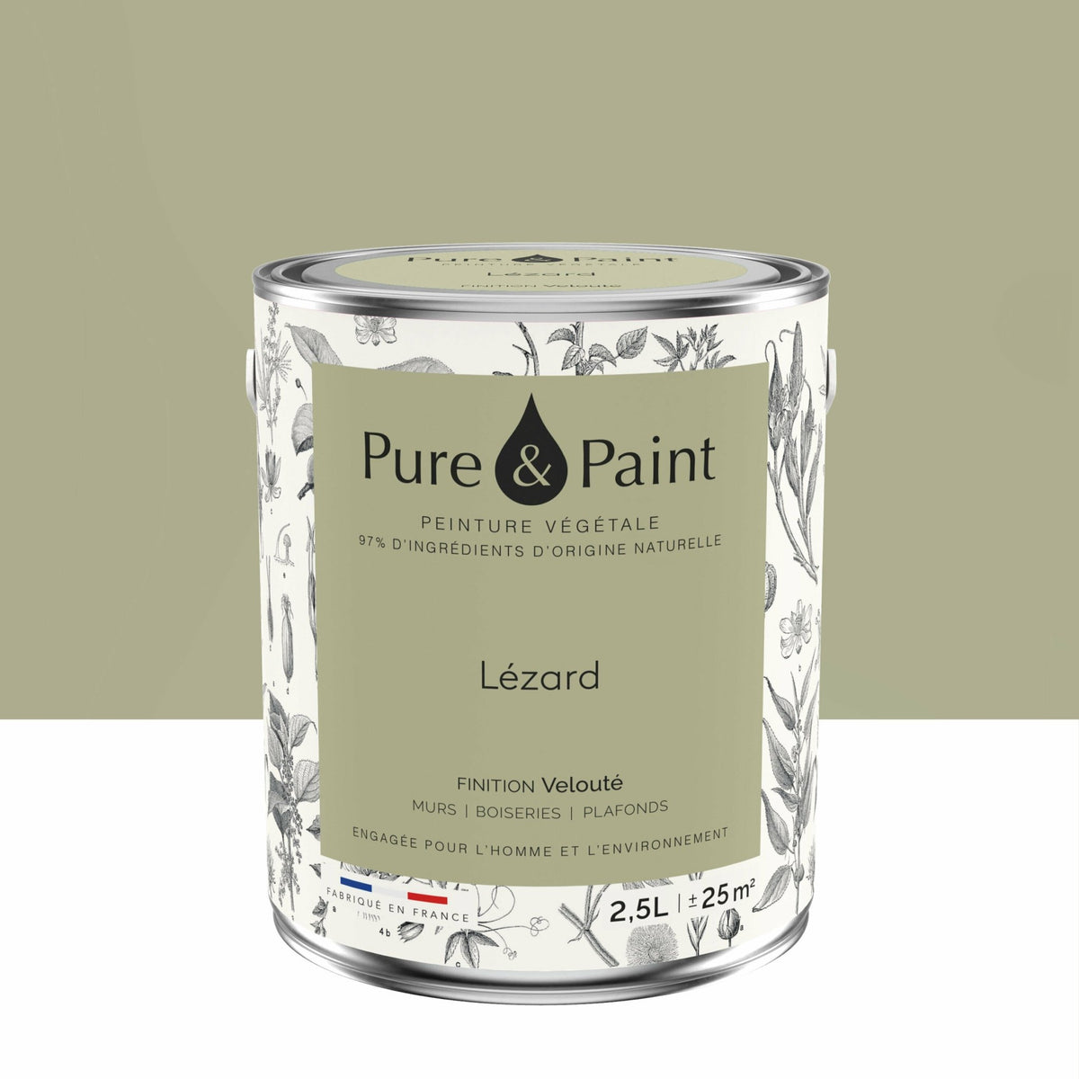 Lizard Velvet Plant Paint 2. 5L Pure & Paint - The Cool Republic