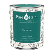 Velvet vegetable paint Yucatan 2, 5L - Pure & Paint - The Cool Republic