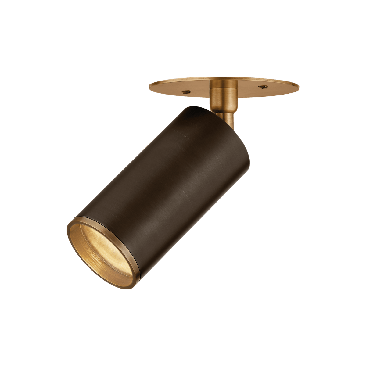 Plafonnier en acier laiton patiné et bronze 12x18cm Caleb - Troy Lighting - The Cool Republic