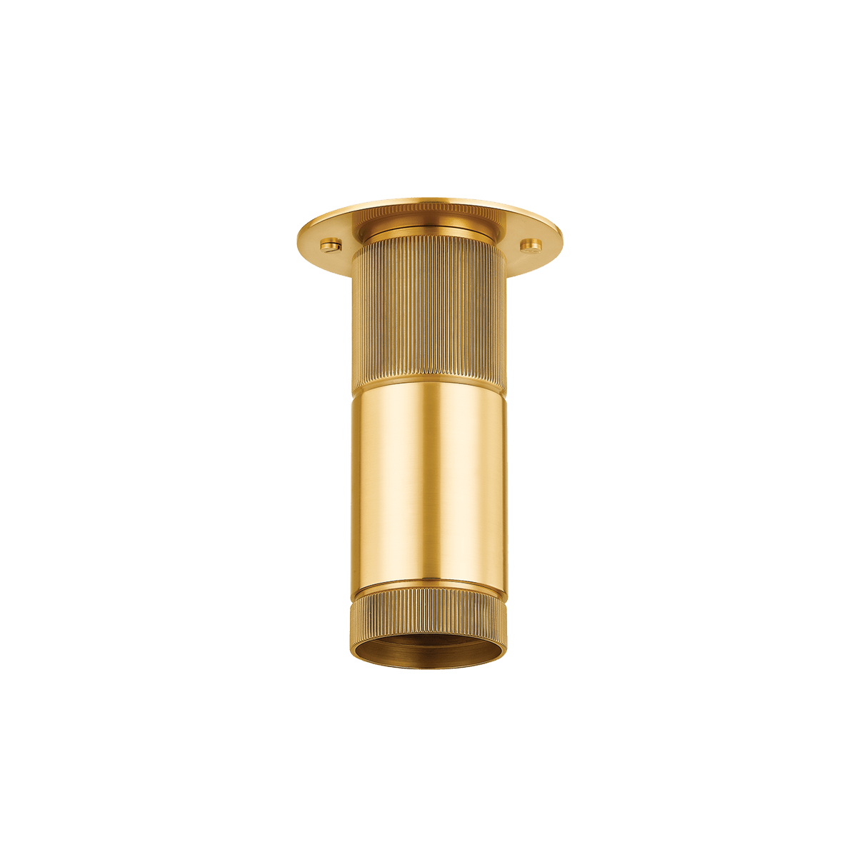 Ceiling Light in Steel with Aged Brass 12x19cm Dighton - Hudson Valley Lighting