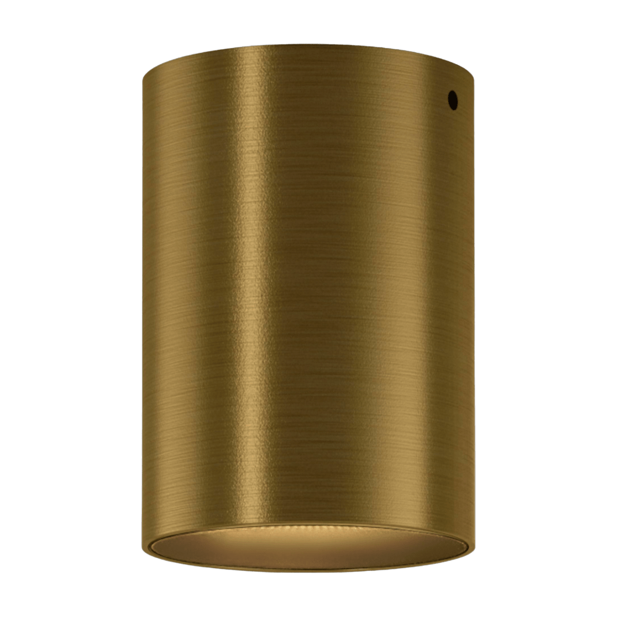 Carl Bronze Metal Ceiling Light - Panzeri - The Cool Republic