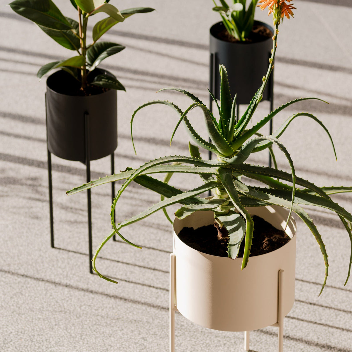 Pot à plantes en acier beige L Maki - noo.ma - The Cool Republic