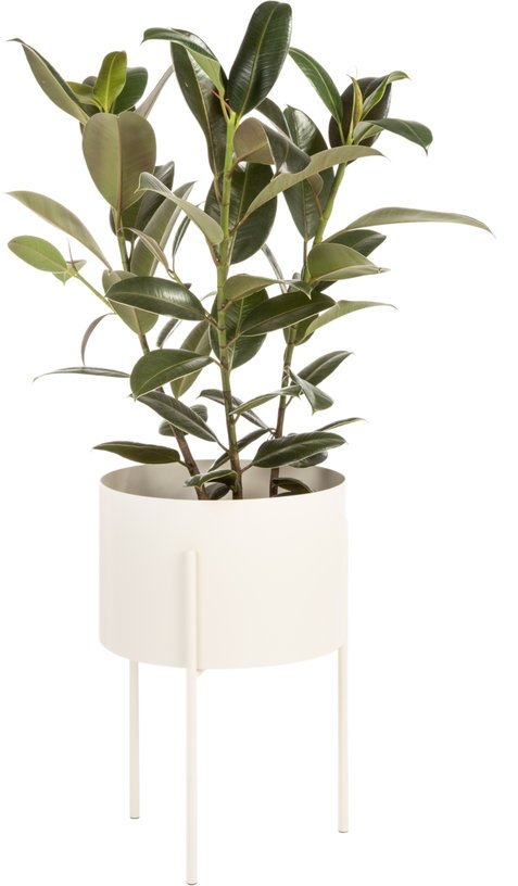 Pot à plantes en acier beige L Maki - noo.ma - The Cool Republic