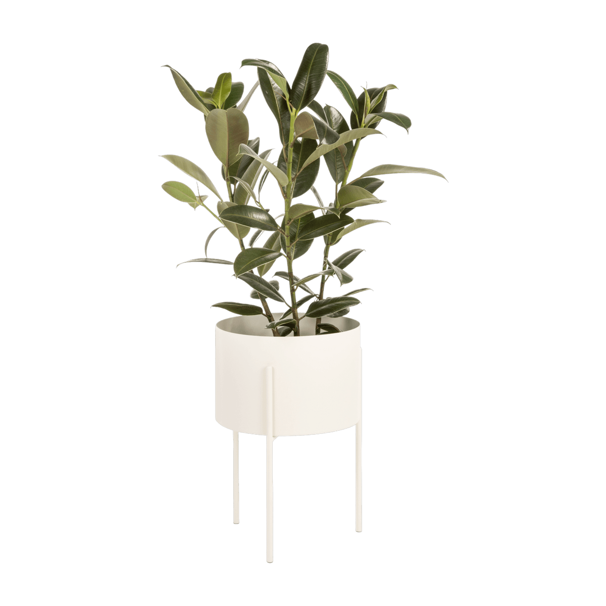 Pot à plantes en acier beige L Maki - noo.ma - The Cool Republic