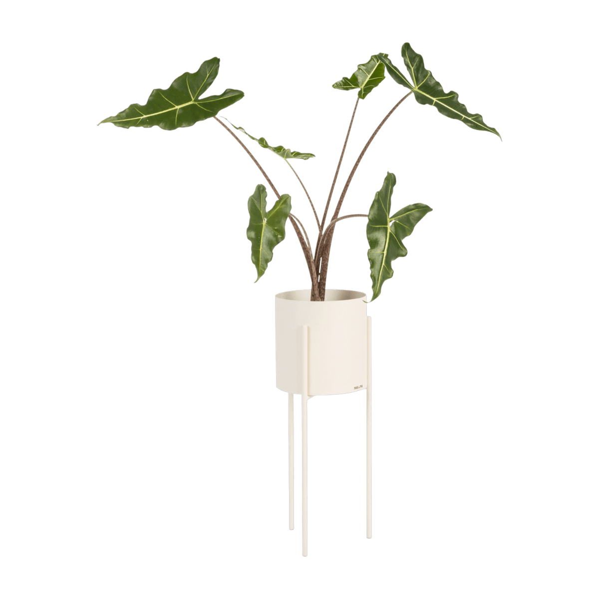 Pot à plantes en acier beige Maki - noo.ma - The Cool Republic