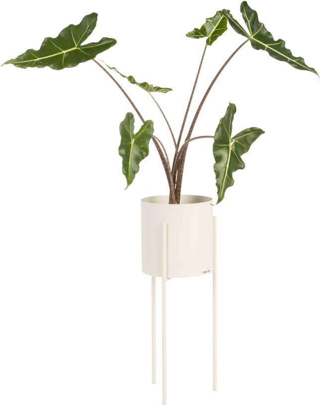 Pot à plantes en acier beige Maki - noo.ma - The Cool Republic