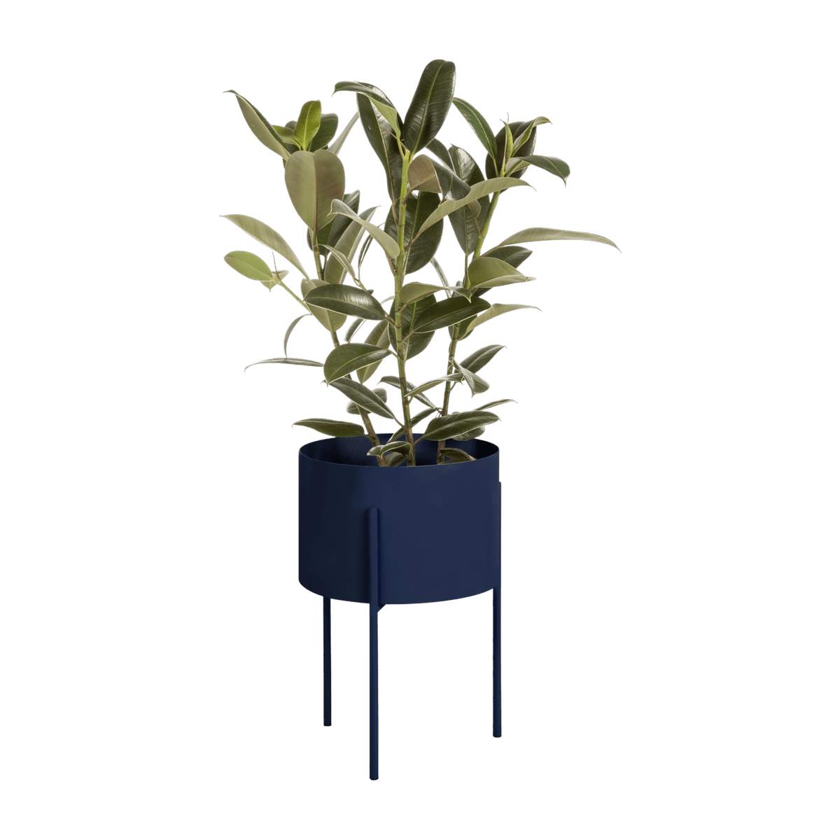 Pot à plantes en acier bleu atlantique L Maki - noo.ma - The Cool Republic