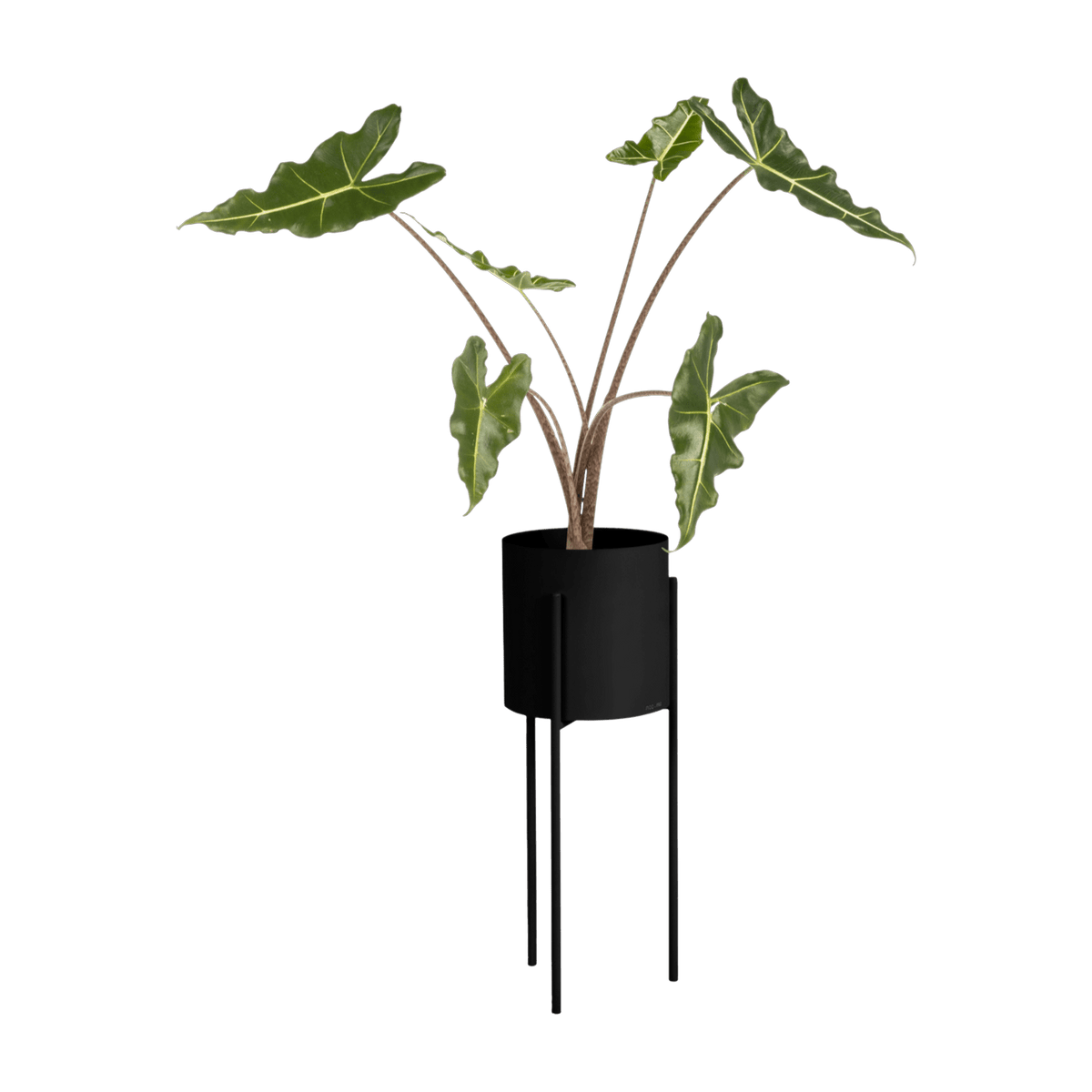 Pot à plantes en acier noir Maki - noo.ma - The Cool Republic