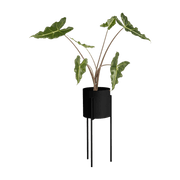 Pot à plantes en acier noir Maki - noo.ma - The Cool Republic