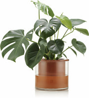 Pot avec réservoir d'eau L - Wet Pot - The Cool Republic