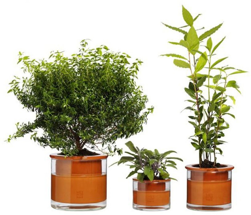 Pot avec réservoir d'eau M - Wet Pot - The Cool Republic