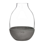 Eden Terrarium Klar mit geformtem Beton Base - Nude Glass