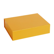 Yellow cardboard storage box 33 x 25 cm Colour S egg yolk - HAY