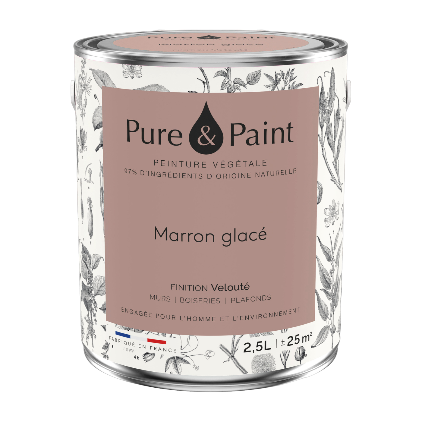 دهان نباتي مخملي Marron glacé 2,5L - Pure & Paint