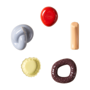 5 Fossil Wall Hooks - Schneid Studio
