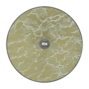 GASTBY. D60. APP. KUMO. KHAKI