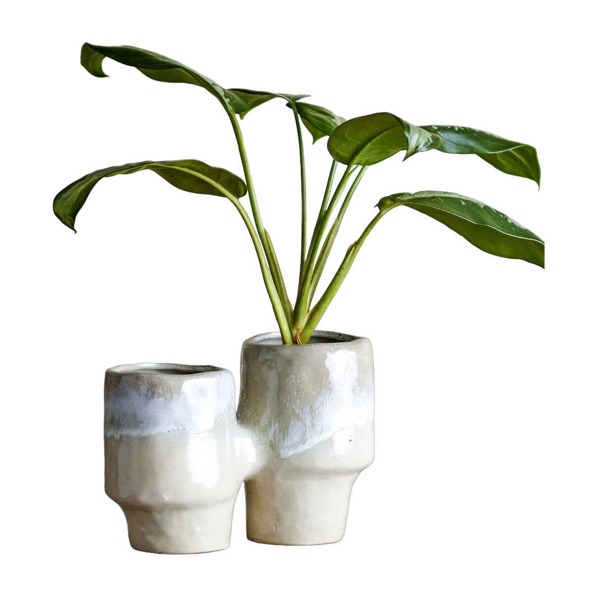 Maiak Blumentopf aus braunem Sandstein -. Bloomingville