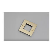 1G WALL PLATE / NO INFILLS / BRASS - Buster