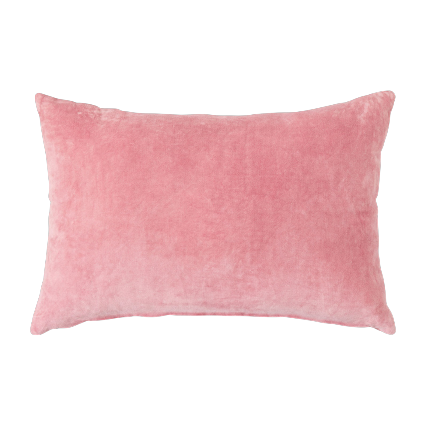 Velvet Cushion Rose (60X40Cm) - HKLIVING