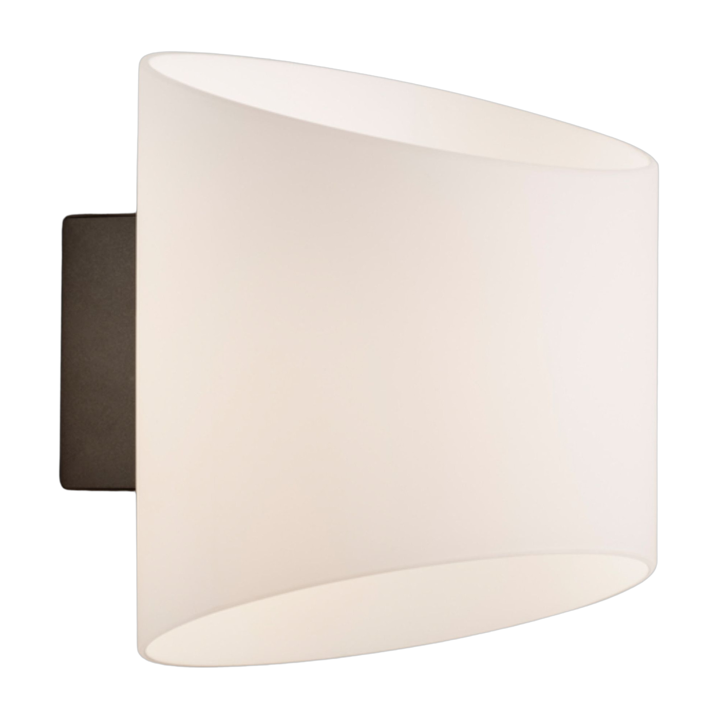 Applique murale ovale de salle de bain en métal anthracite et verre opale 16x18x18cm Evoke - Herstal
