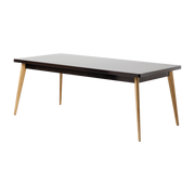Table rectangulaire en acier brun noir et pieds bois 200x95cm 55 - Tolix