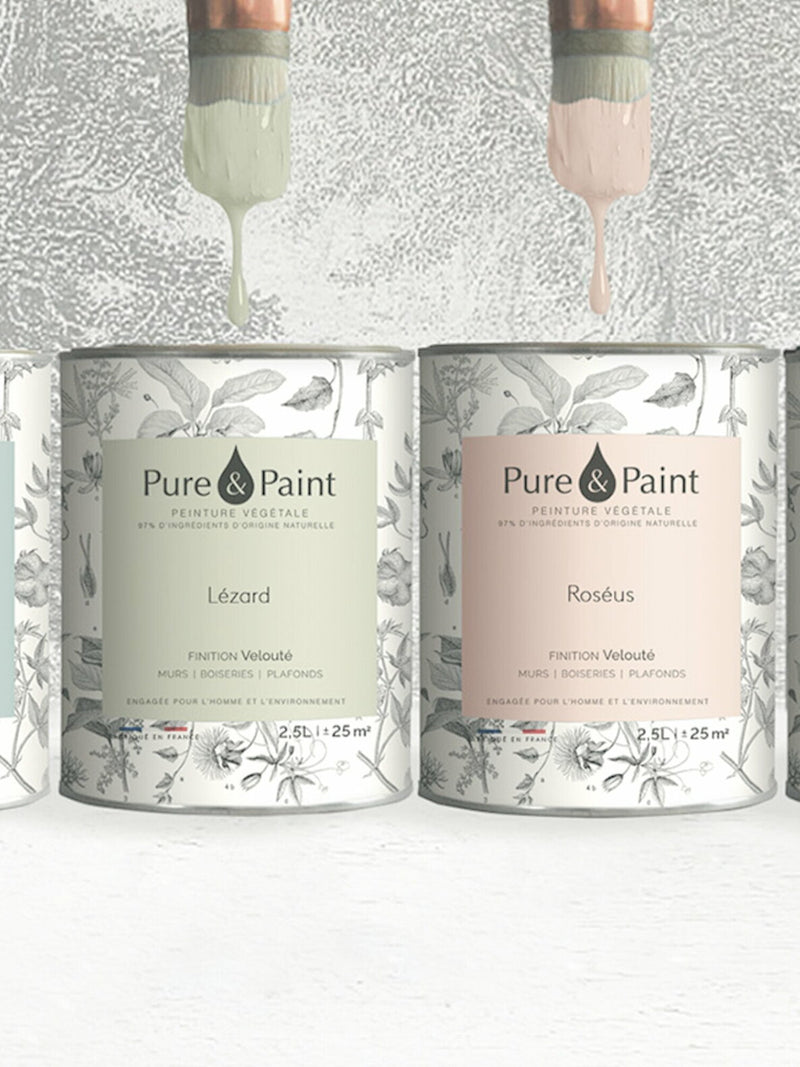 Univers Pure & Paint